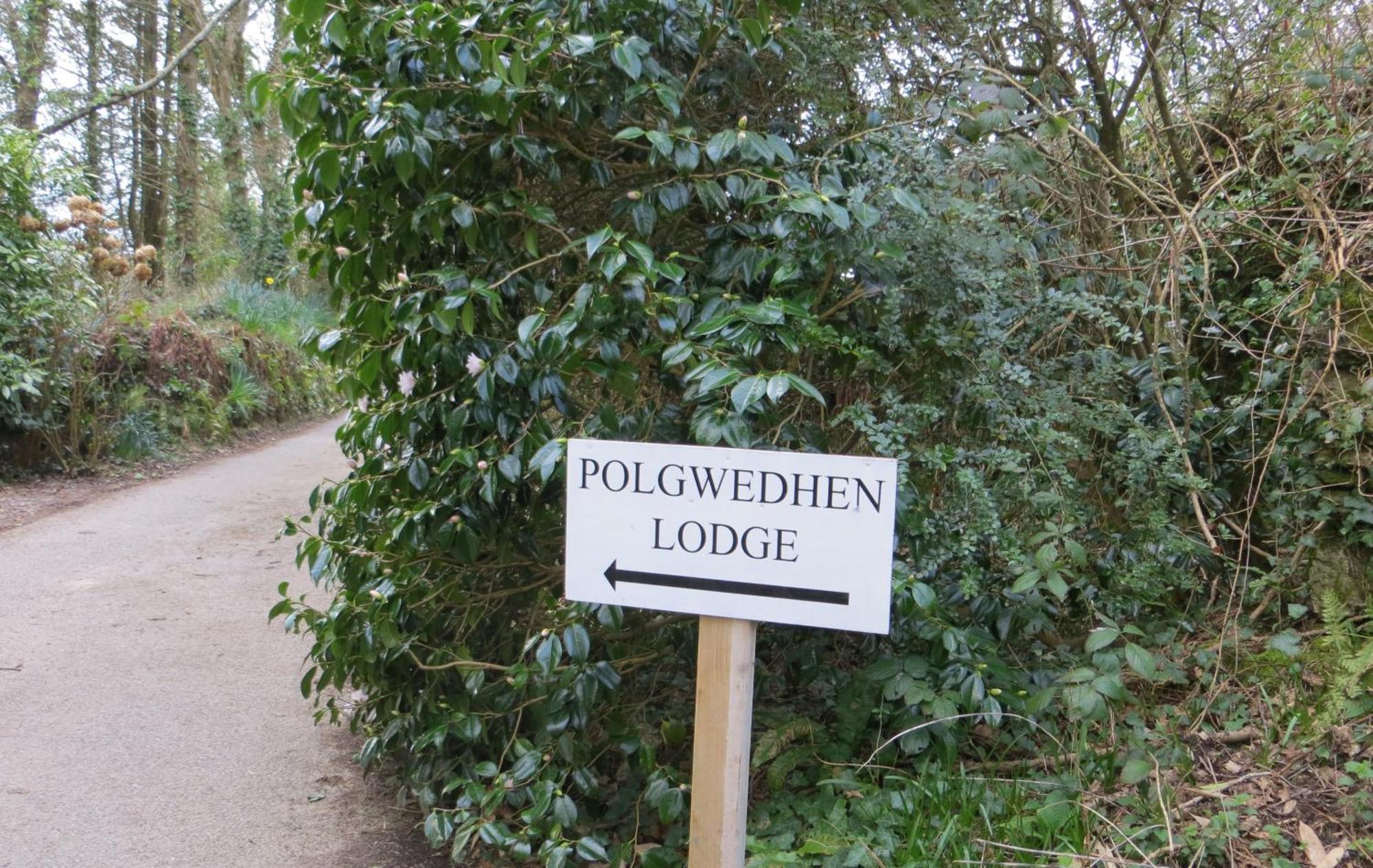 Polgwedhen Lodge Truro Esterno foto