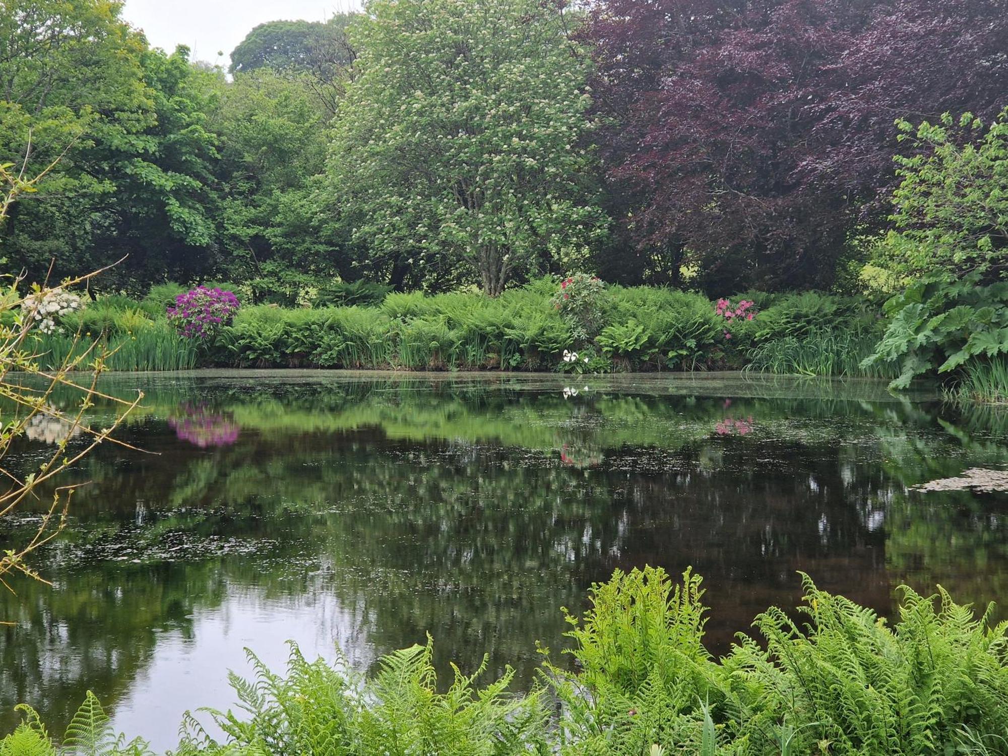 Polgwedhen Lodge Truro Esterno foto